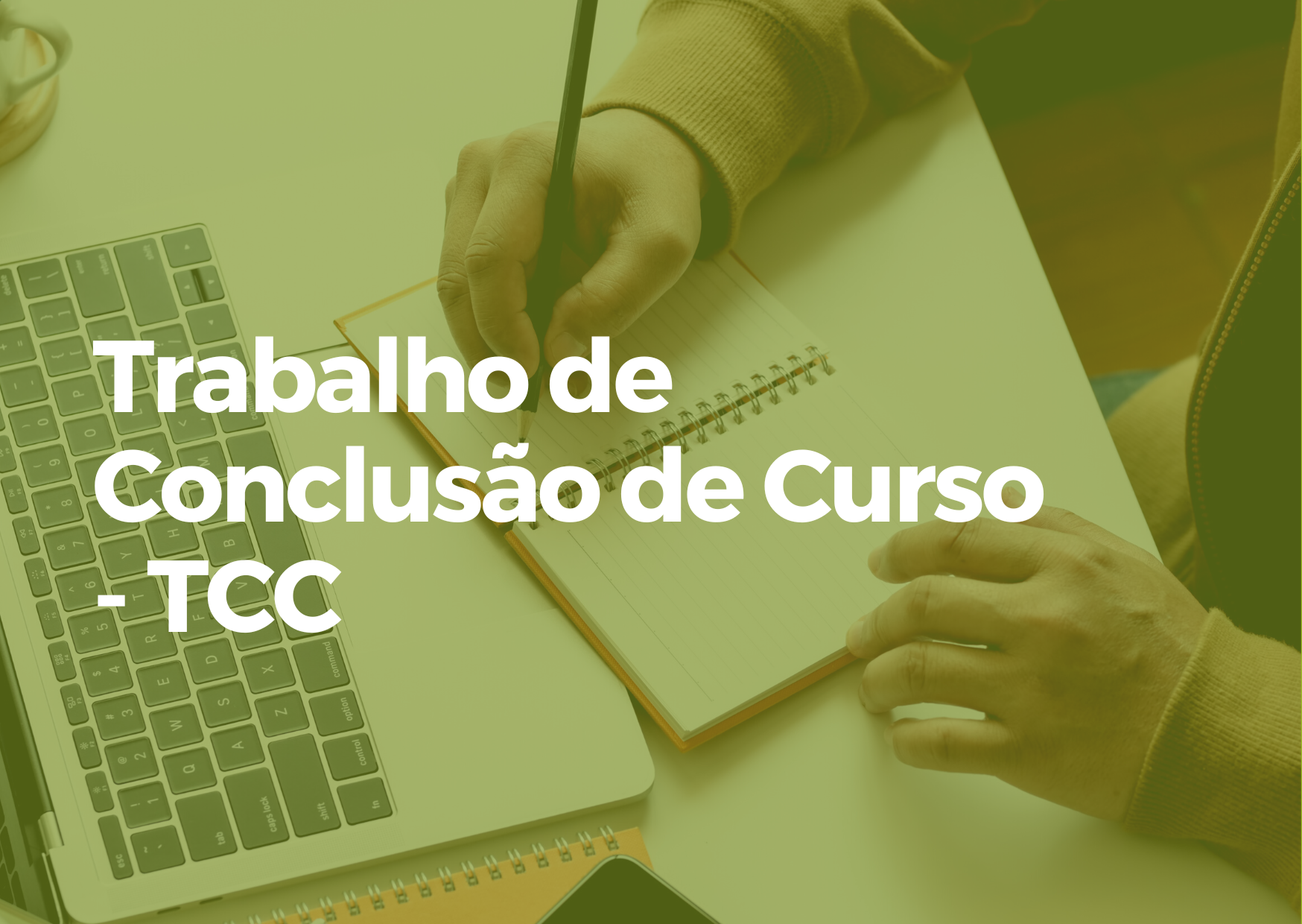 TRABALHO DE CONCLUSÃO DE CURSO - Turma II
