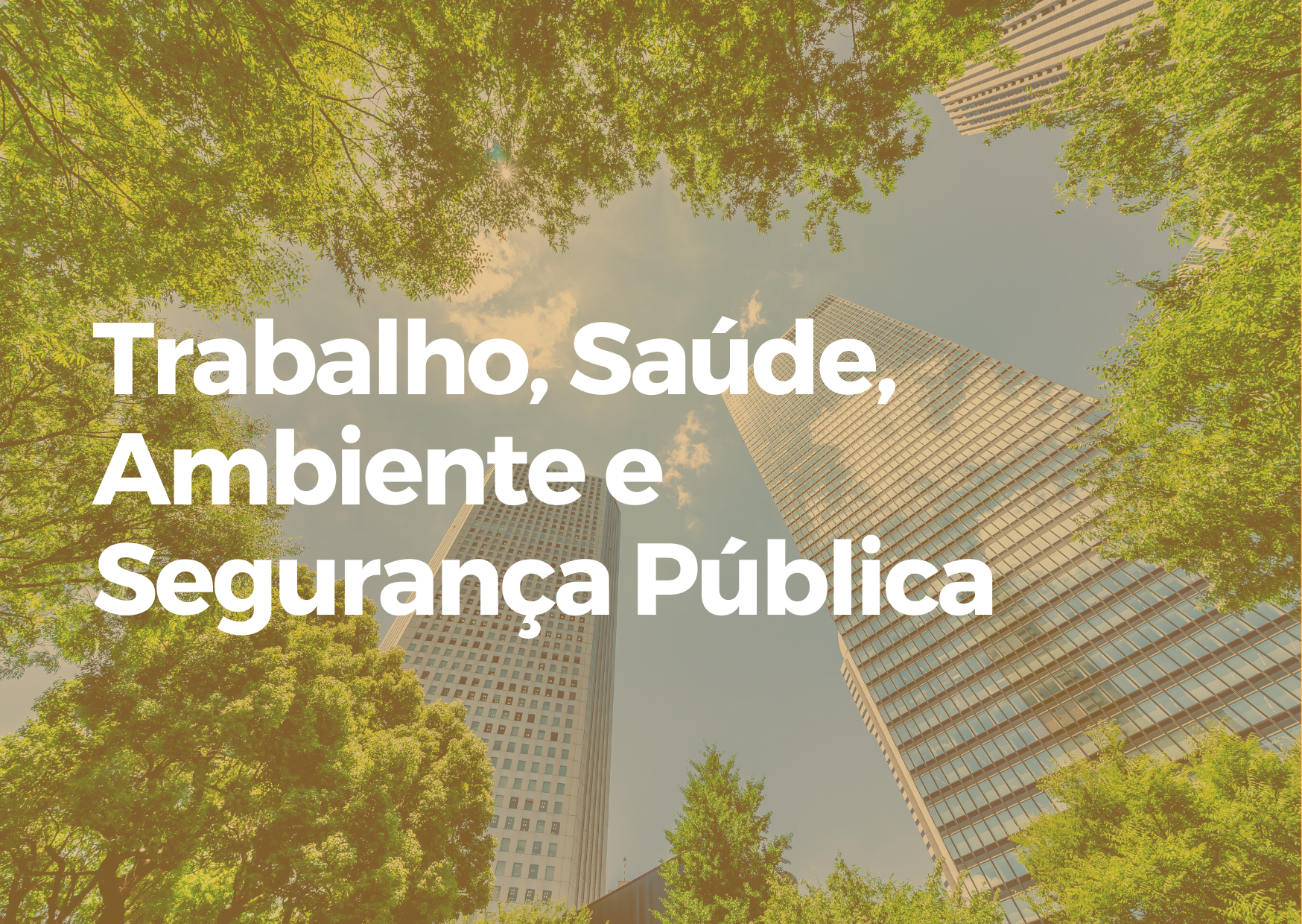 TRABALHO, SAÚDE, AMBIENTE E SEGURANÇA PÚBLICA - Turma II